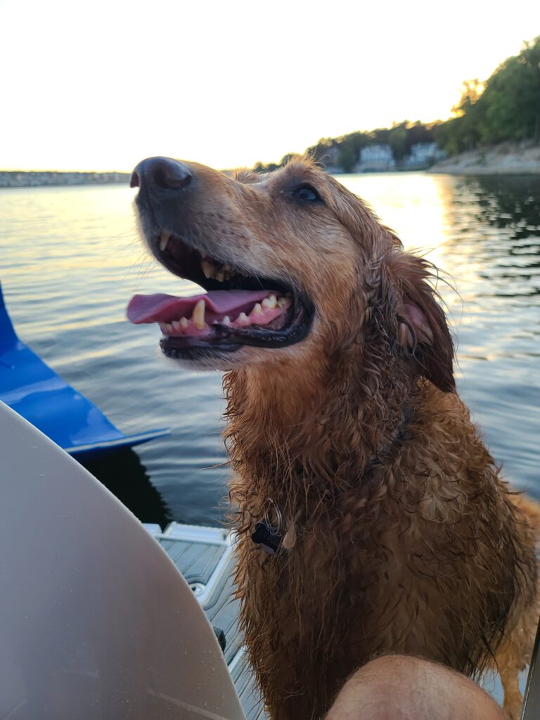 Salty Dogs: Canine Captains & Their 2 Legged First Mates